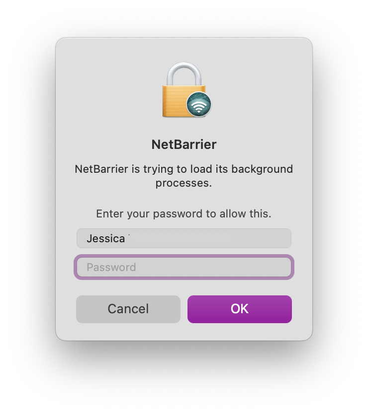 authorize processes to load.png