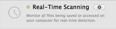 Real-Time Scanning.png