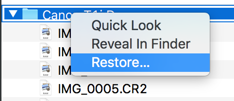 Restore....png