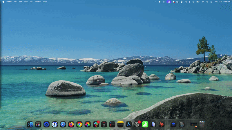Start Custom Scan.gif