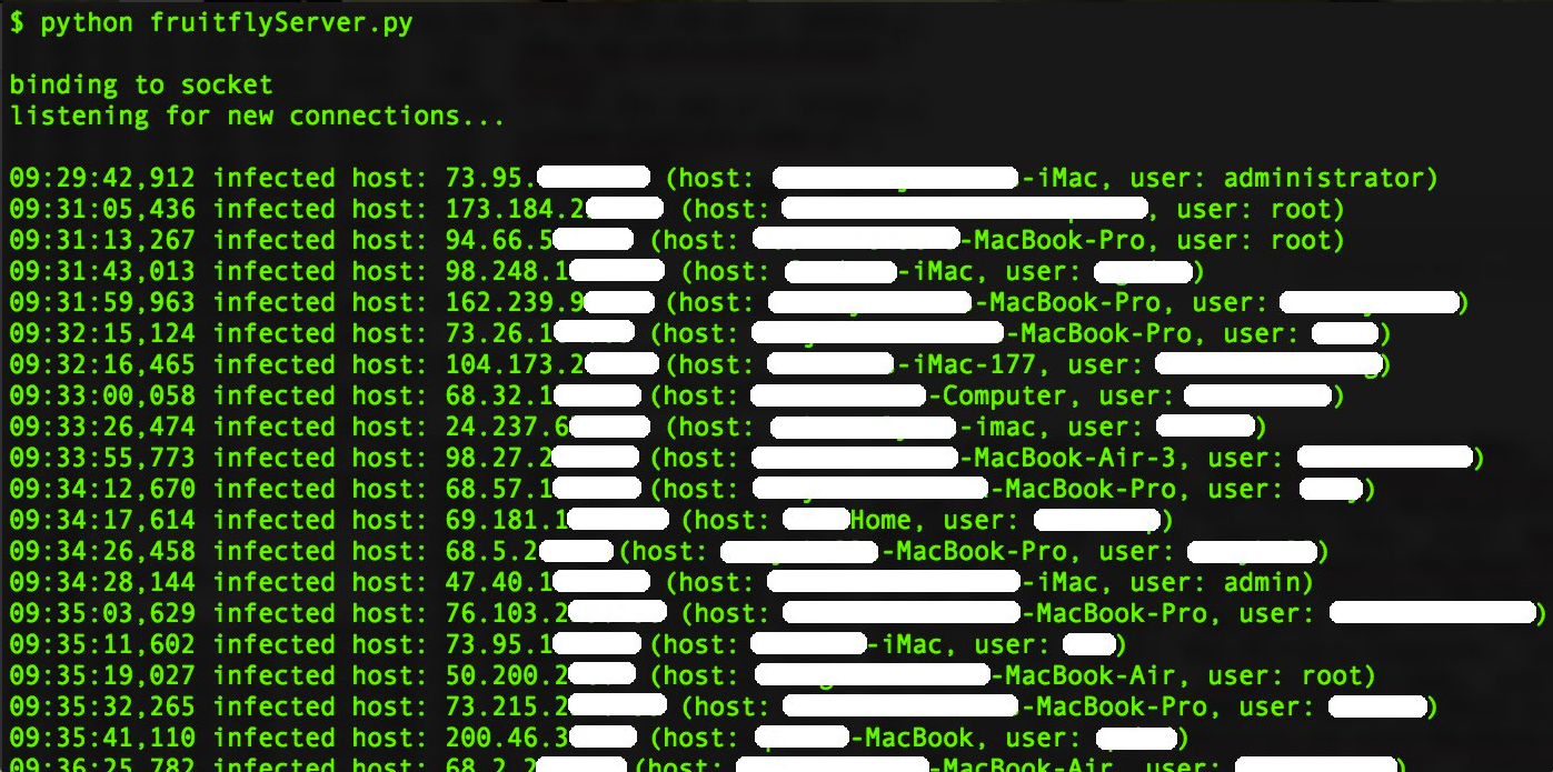 fruitflyServer.webp