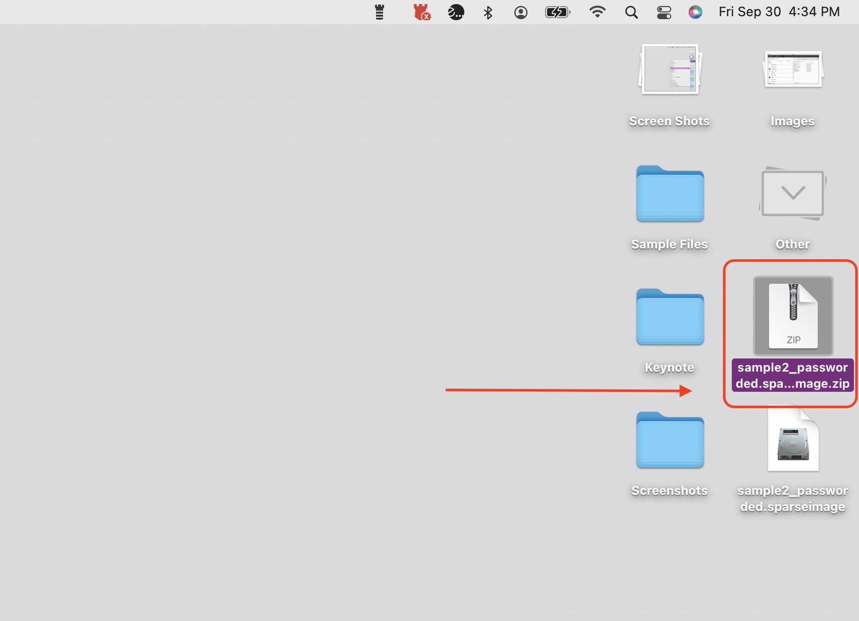 Step 9 send file back to support.png