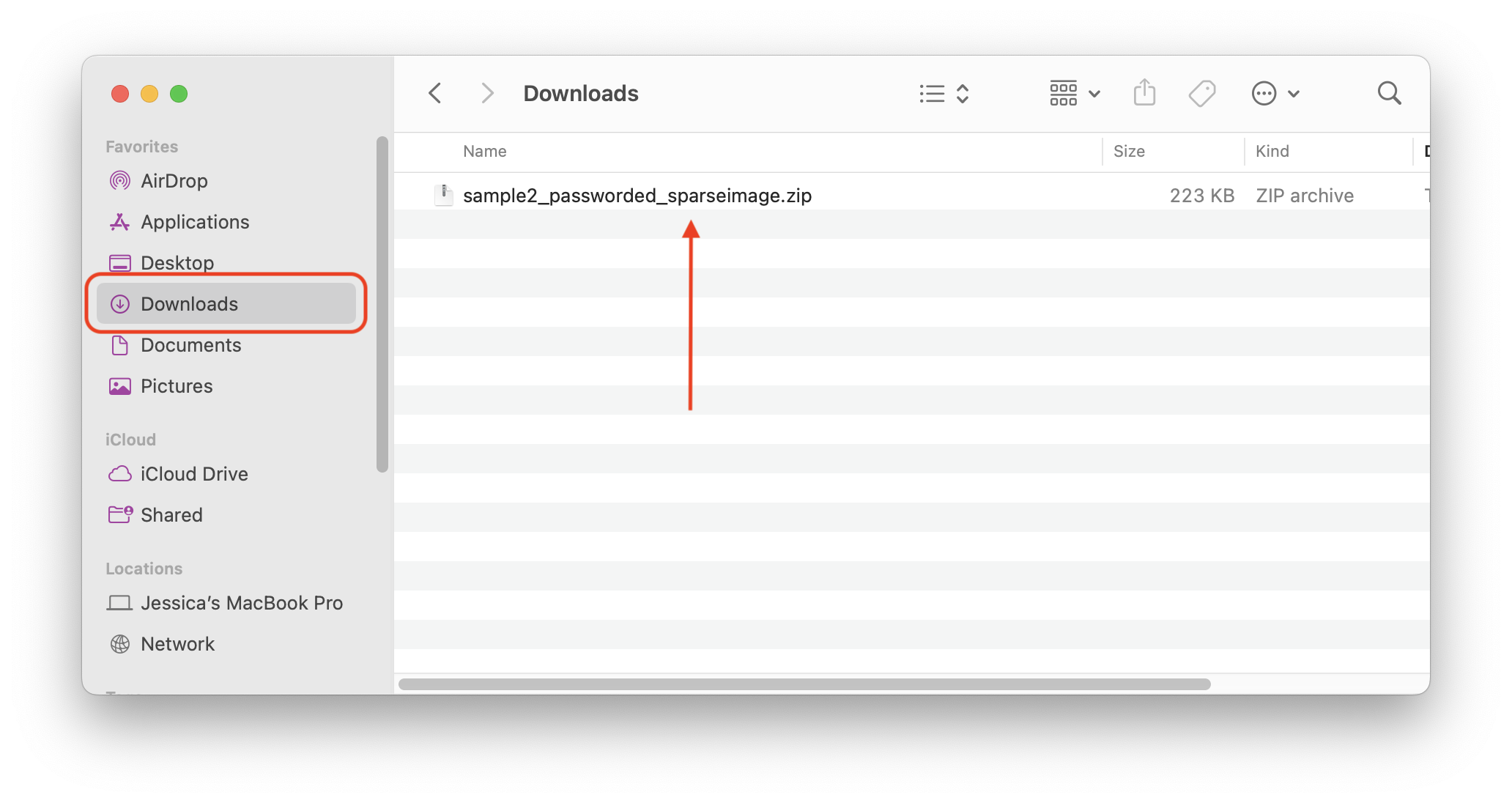 Step 2 unzip file.png