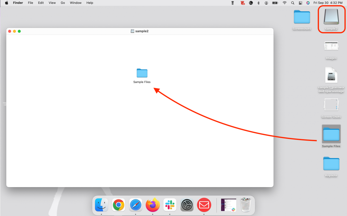 Step 6 drop sample into disk.png